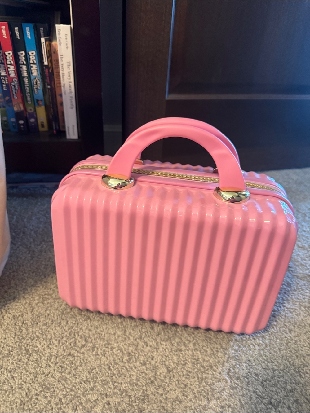Viral Pink Structured cosmetic bag. Brand new!